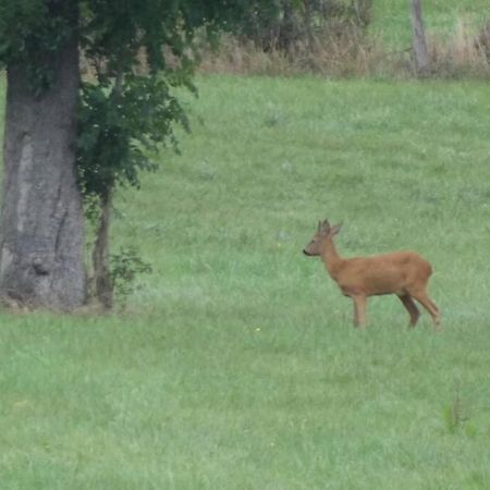 Hoeve Espewey Cottage Hombourg Bagian luar foto
