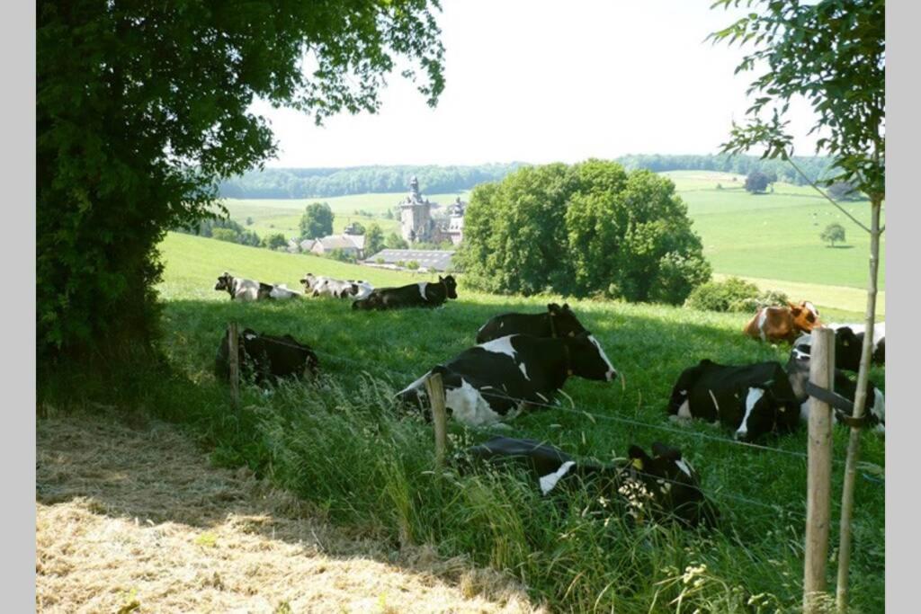 Hoeve Espewey Cottage Hombourg Bagian luar foto