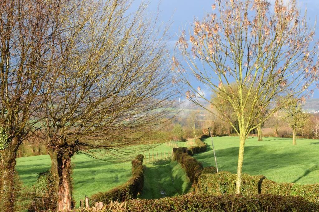 Hoeve Espewey Cottage Hombourg Bagian luar foto